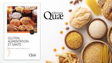 Gluten alimentation santé
