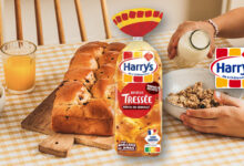 Nouvelle Brioche Tressée Pépites de Chocolat Harrys