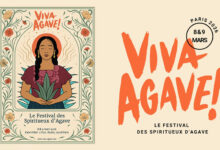 Festival Viva Agave
