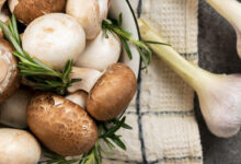 Champignons, univers de goûts