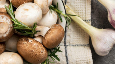 Champignons, univers de goûts