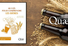 40 clés pour comprendre les bières