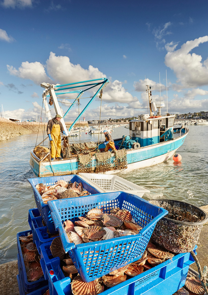 Fête de la Coquille Saint-Jacques