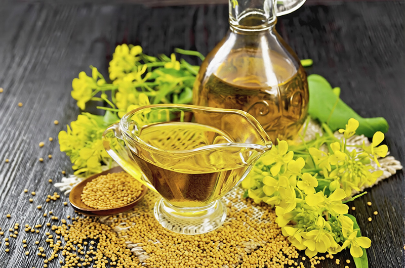 Bienfaits Huile de colza