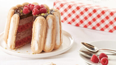 Charlotte chocolat framboise biscuits à la cuillère Bonne Maman®