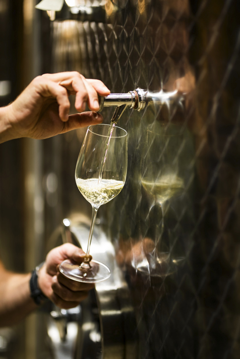 Touraine Chenonceaux 2024