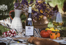 Touraine Chenonceaux 2024