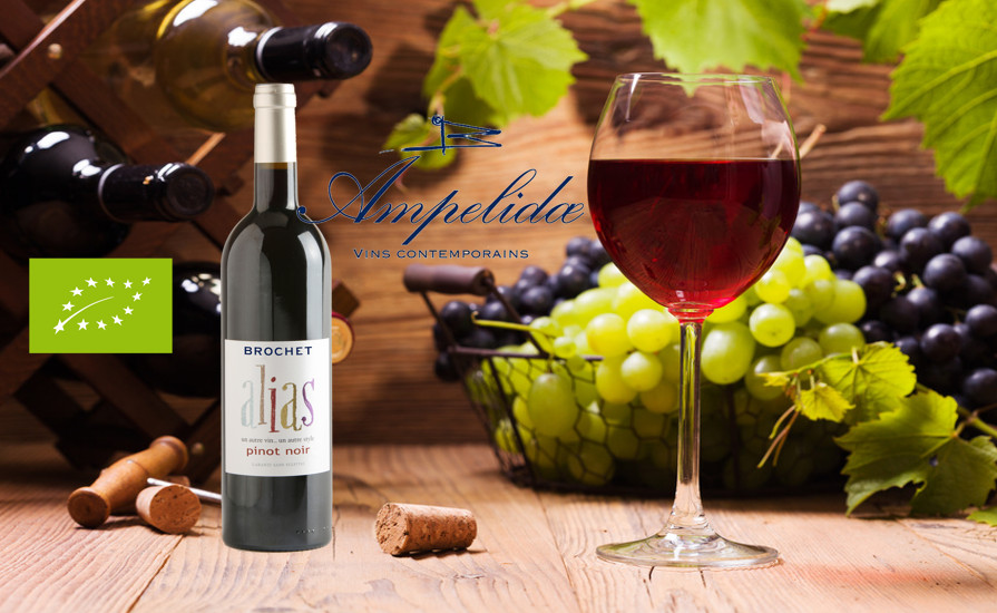 Ampelidae dévoile ”Alias Pinot Noir“, un vin Bio et sans sulfites A