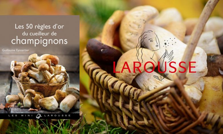 L Indispensable Guide Du Cueilleur De Champignons